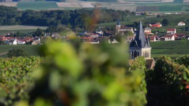 Ville yakın Marne bölümünün Montagne de Reims alanında şampanya üzüm bağları-Dommange, şampanya Ardennes, Fransa, Europe