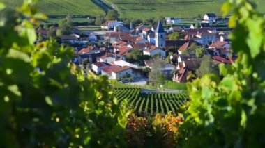 Baroville, şampanya Ardennes, Fransa, Europe yakın Aube bölümünün Cote des Bar alanında şampanya üzüm bağları
