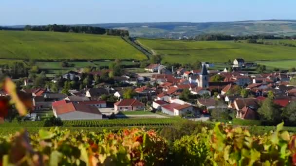Champagne wijngaarden op het gebied van de Cote des Bar van het departement Aube in de buurt van Baroville, Champagne-Ardennen, Frankrijk, Europa — Stockvideo