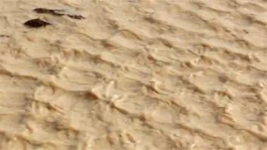 Rüzgar, yağmurdan sonra çöldeki su birikintilerinde dalgalanmalar yaratır. Yakın çekim, Judean Çölü İsrail 