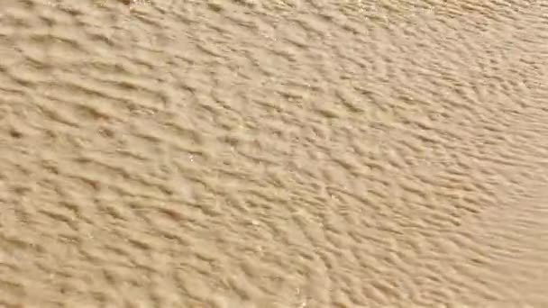 Wind Creates Ripples Puddle Desert Rainclose Shot Judean Desert Israel — Stock Video