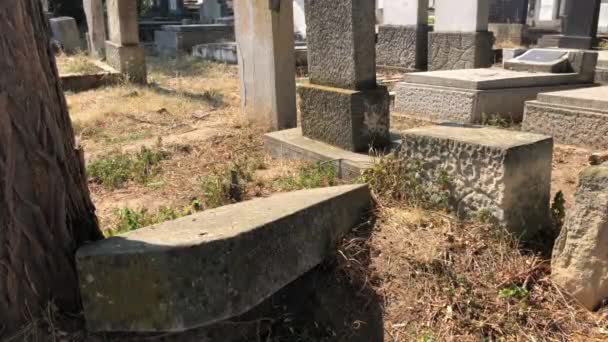 Kuburan Yahudi Yang Terabaikan Romaniaunidentified Ditembak Dari Cluj Napoca Romania — Stok Video