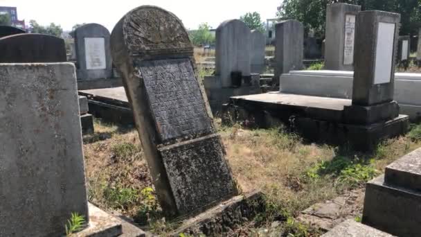 Надгробная Еврейская Могила Румынии Неопознанный Выстрел Клуж Напока Румыния 2020 — стоковое видео