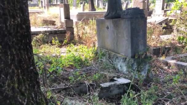 Neglected Broken Jewish Grave Romaniaunidentified Shot Cluj Napoca Romania 2020 — Stock Video