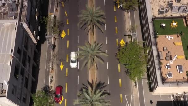 Road Palm Trees Aerial Top View Tel Avivdrone View Empty — Stock video