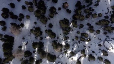 Alp Dağları 'ndaki ormanın üstünden aşağıya bakan hava aracı İtalya' nın Alp Dağları 'ndan Dolmitler' e bakıyor.,