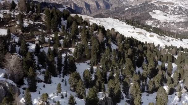 アルプス山脈と森林を望む空中飛行高い山の峰鋭い崖ドロマイト イタリアからのドローンビュートップピーク — ストック動画