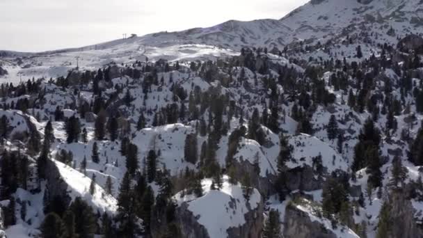 Vuelo Aéreo Adove Alpes Montañas Bosques Picos Alta Montaña Acantilados — Vídeo de stock