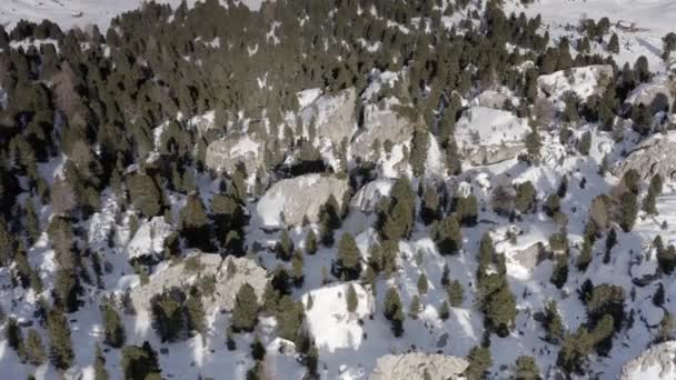 Flyg Adove Alp Berg Och Skog Höga Bergstoppar Skarpa Klippor — Stockvideo