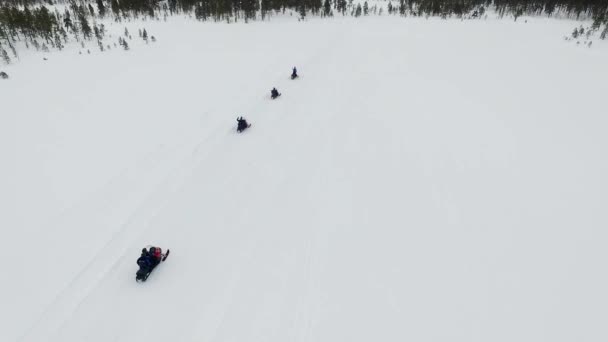 Expedición Conduciendo Motos Nieve Entrando Bosque Laponia Vista Aérea Vista — Vídeos de Stock