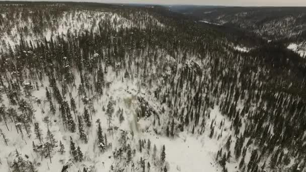 Lappland Kiefernwald Und Gefrorener Wasserfall Luftaufnahme Drohne Blick Über Kiefernwald — Stockvideo