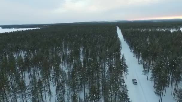 Soukromé Auto Jízda Lese Sněhem Letecký Pohled Laponska Černém Autě — Stock video