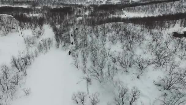 Expedice Jízda Sněžných Skútrech Laponsku Letecký Pohled Drone Pohled Turisty — Stock video