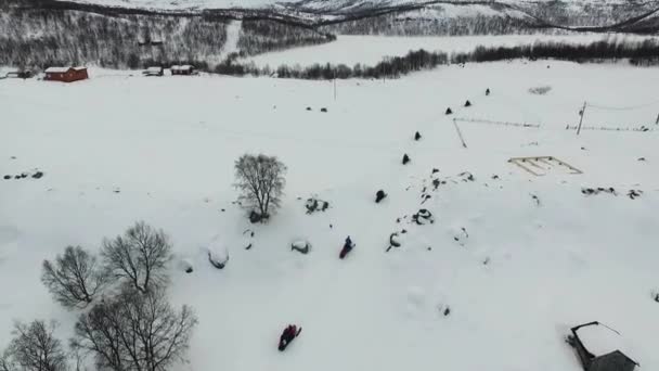 Экспедиция Вождение Снегоходах Лапландии Вид Воздуха Вид Воздуха Туристы Движущиеся — стоковое видео