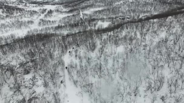 Экспедиция Вождение Снегоходах Заснеженном Лесу Вид Воздуха Вид Воздуха Туристы — стоковое видео