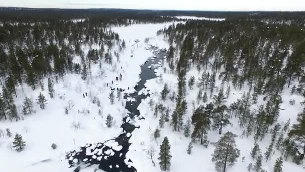 Grupo Pessoas Neve Lapônia Vista Aérea Com Pinhal Lago Neve — Vídeo de Stock