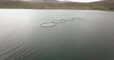 İzlanda 'daki balık havuzlarının hava manzarası İzlanda' daki balık göletlerinin manzarası,