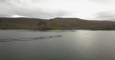 İzlanda 'daki balık havuzlarının hava manzarası İzlanda' daki balık göletlerinin manzarası,