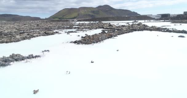 2021年2月 在冰岛与鸭子一起飞越湖面 在靠近冰岛山脉水域的空中俯瞰 — 图库视频影像