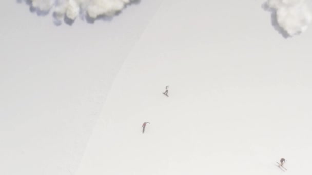 Лыжники Избегают Лавины Воздушный Вид Альпы Europedrone Драматический Вид Европейских — стоковое видео