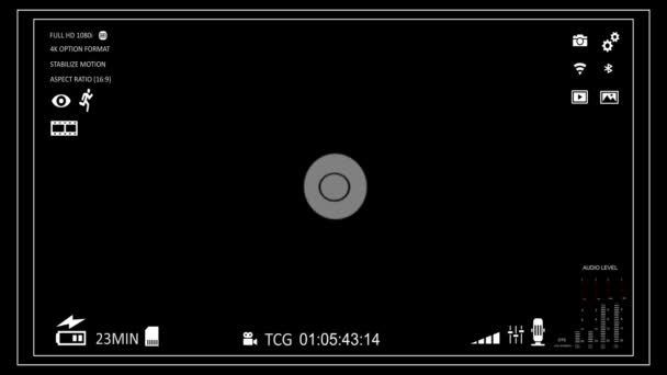Camera viewfinder — Stock Video