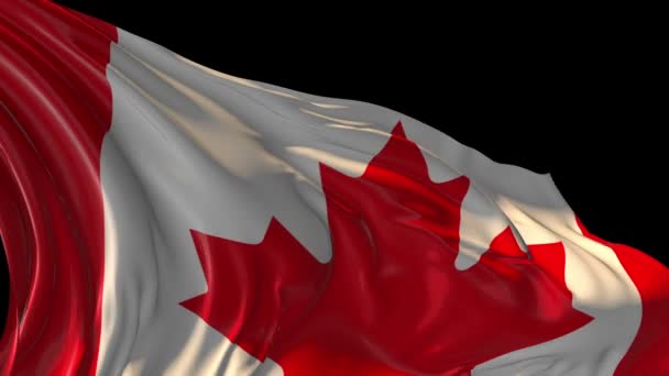 Vlag van Canada — Stockvideo