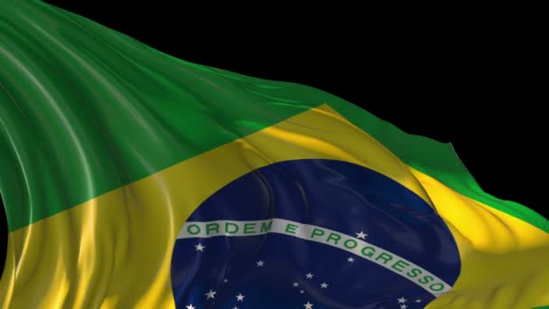 Brazilská vlajka — Stock video