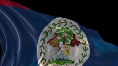 belize bayrağı