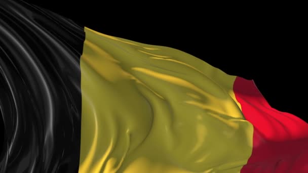 Flag of Belgium — Stock Video