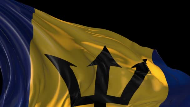 Flagge von Barbados — Stockvideo