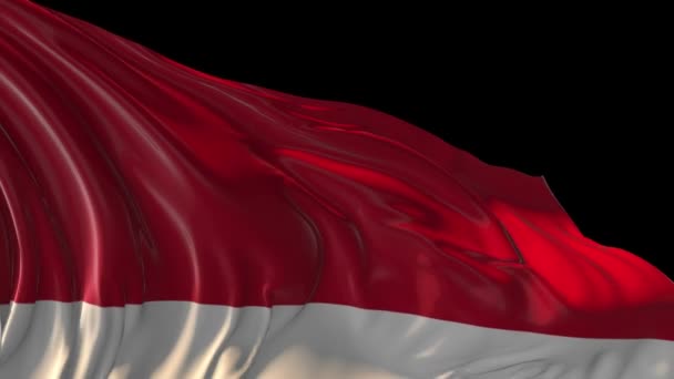 Indonesiens flagga — Stockvideo