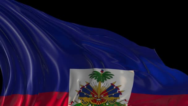 Haitská vlajka — Stock video