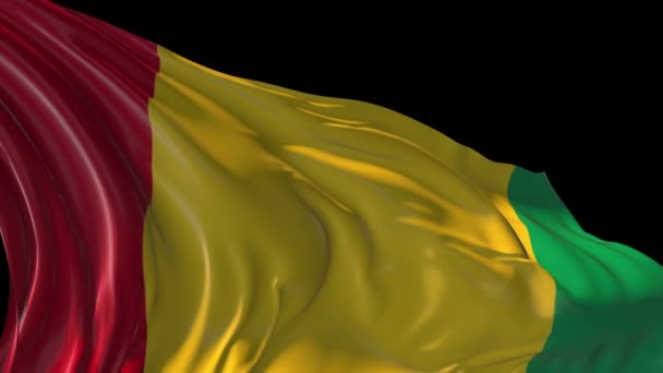 Flag of Guinea — Stock Video