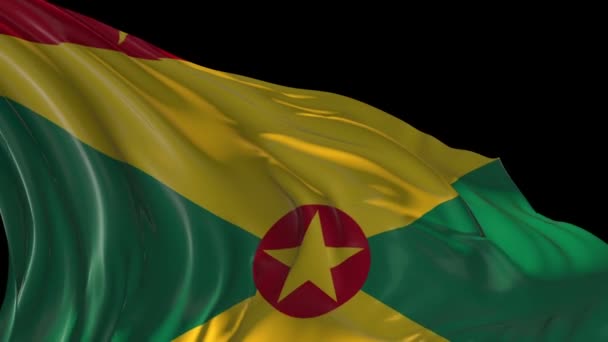 Vlag van Grenada — Stockvideo