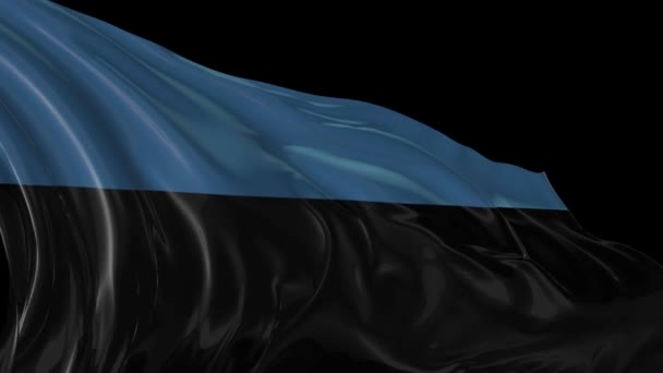 Bandeira da Estónia — Vídeo de Stock