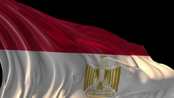 Flagge Ägyptens — Stockvideo