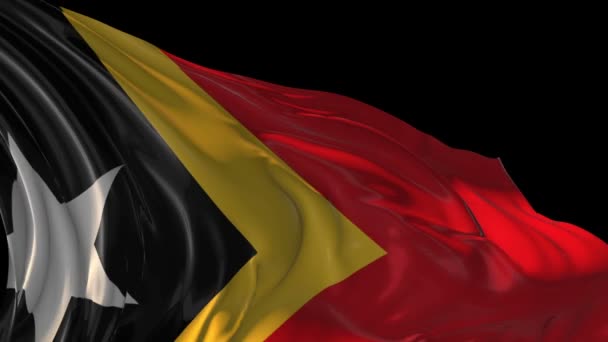 Vlag van Oost-Timor — Stockvideo