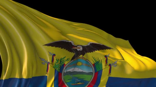 Ekvator Cumhuriyeti bayrağı — Stok video