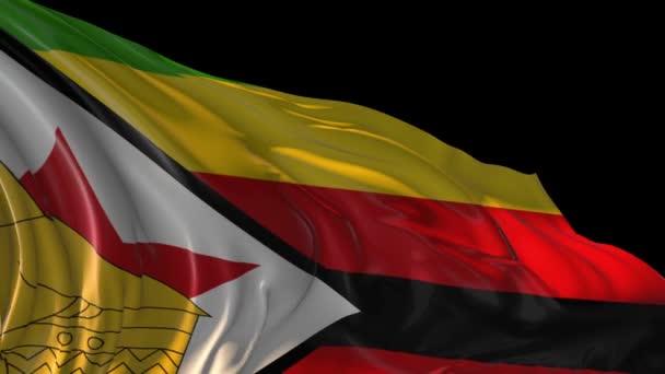 Vlag van zimbabwe — Stockvideo