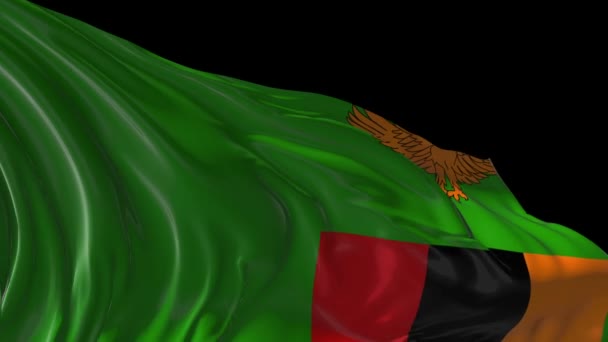 Vlajka Zambie — Stock video