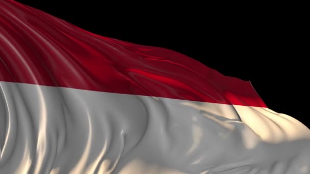 Vlajka Jemenu — Stock video