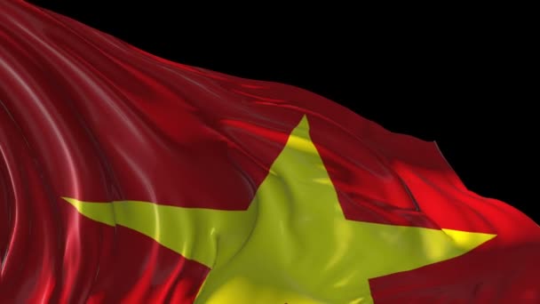 Bandera de Vietnam — Vídeo de stock