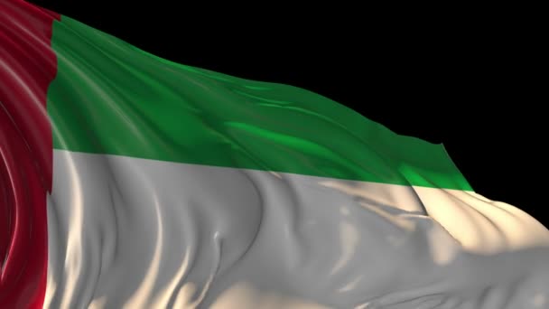 Flag of United Arab Emirates — Stock Video