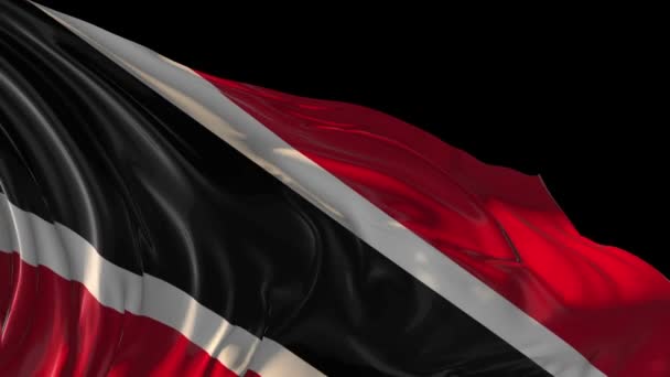 Trinidad och Tobagos flagga — Stockvideo