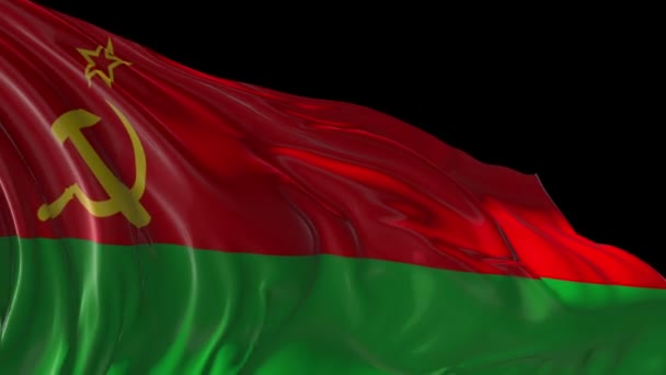 Flag of Transnistria — Stock Video