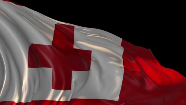 Vlag van tonga — Stockvideo