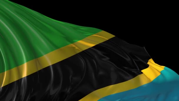 Flag of Tanzania — Stock Video