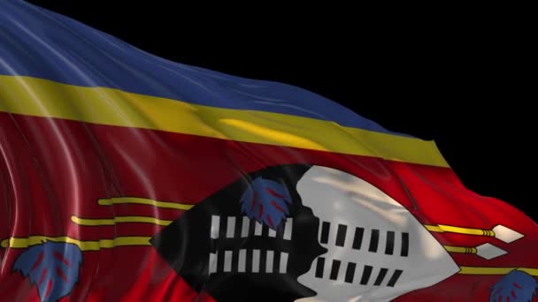 Flagge von Swasiland — Stockvideo