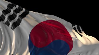 Güney Kore bayrağı