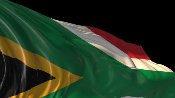 南アフリカの国旗 — ストック動画